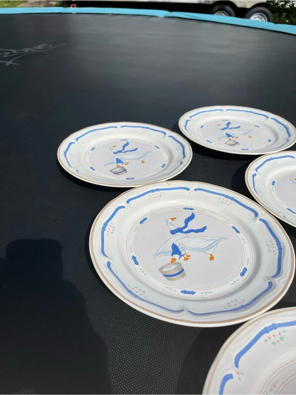 Set of 6 Newcor Geese Dinner Plates